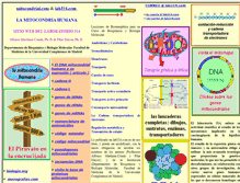Tablet Screenshot of lab314.com